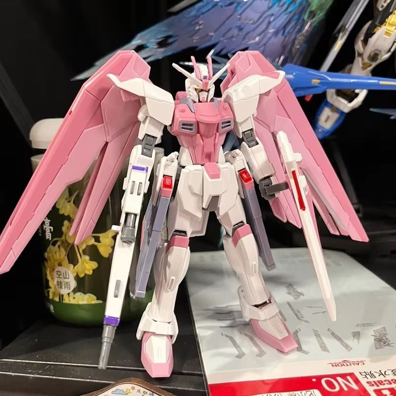 JMS HG 1/144 ZY-06 Freedom Ass – обзор и цена Bandai Model Gundam Hg